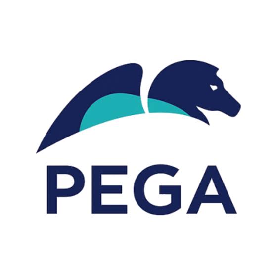 Pega DX API