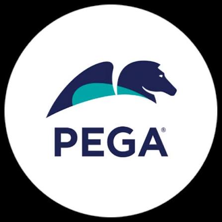 Pega Case Management